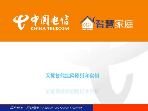 天翼智能组网原则和实例共25页.ppt