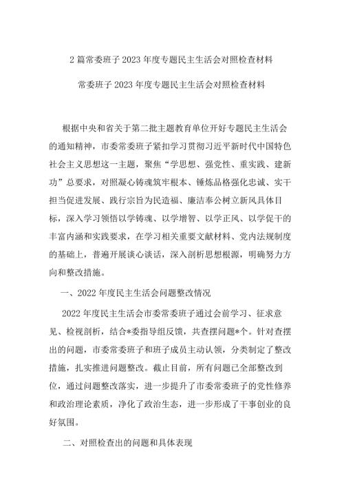 2篇常委班子2023专题检查材料.docx
