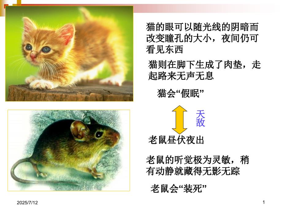 矛盾观点与人生动力.ppt_第1页