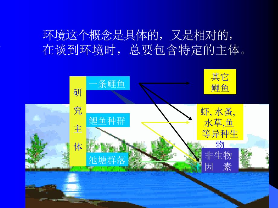 生物与环境课件.ppt_第3页