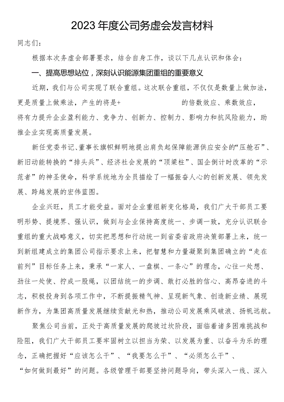 2023公司务虚会发言材料(2).docx_第1页