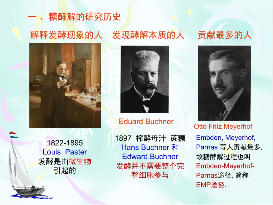 碳水化合物代谢PPT课件.ppt_第2页