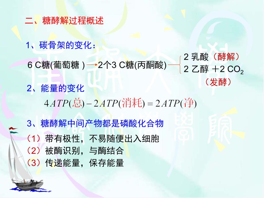 碳水化合物代谢PPT课件.ppt_第3页