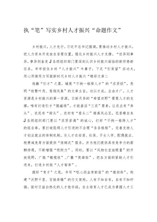 执“笔”写实乡村人才振兴“命题作文”.docx