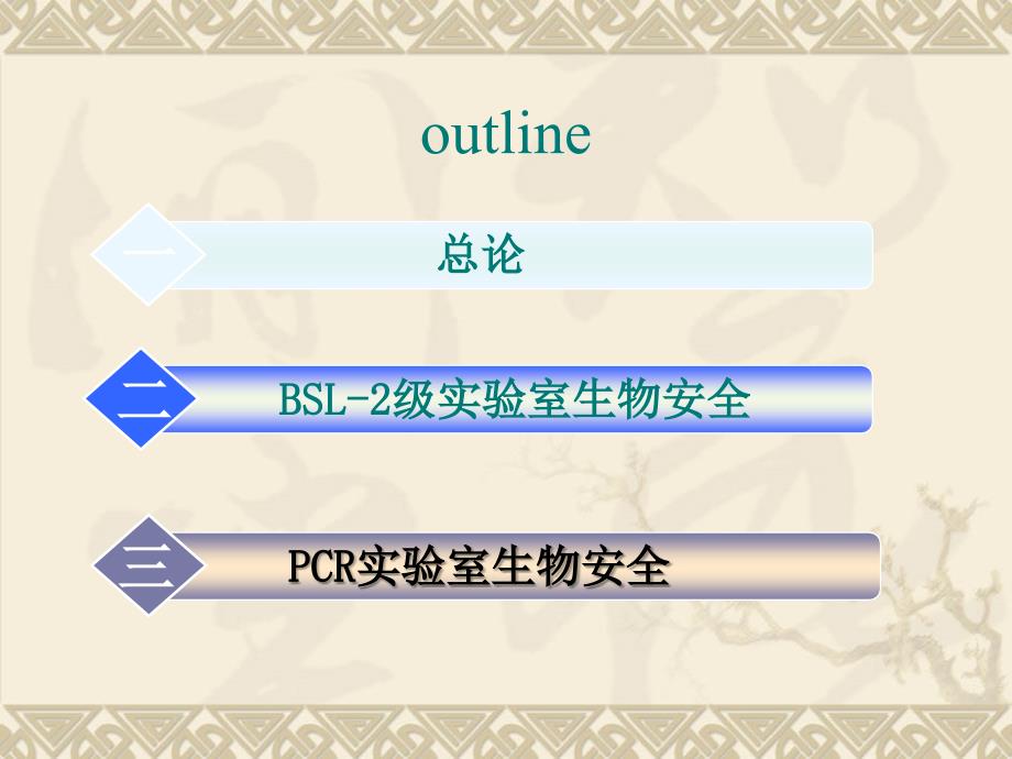 PCR实验室的生物安全.ppt_第2页