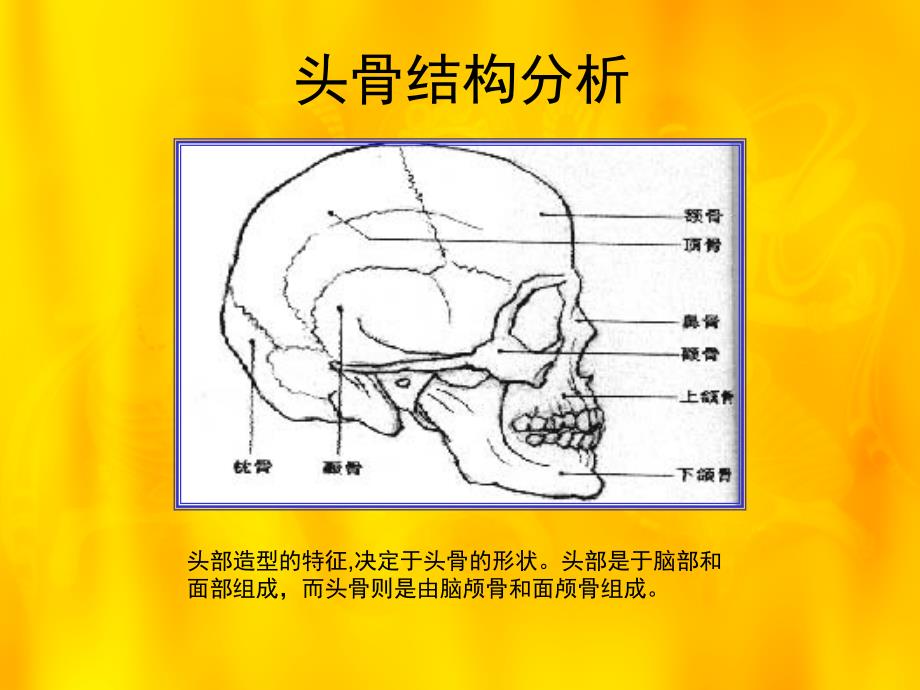 石膏头像素描PPT课件.ppt_第2页