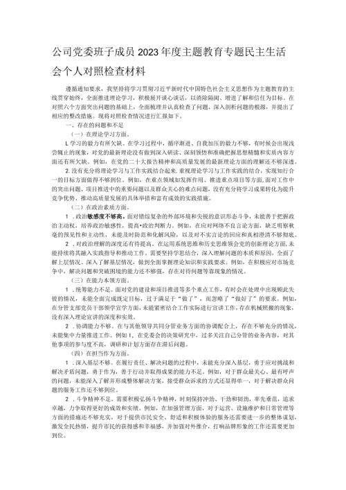公司党委班子成员2023主题教育专题民主生活会个人对照检查材料(2).docx
