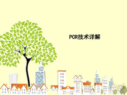 PCR技术详解PPT课件.ppt