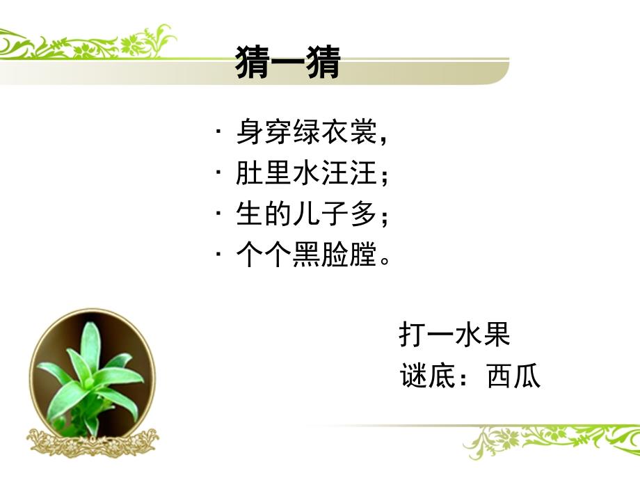 瓜果飘香PPT课件.ppt_第1页
