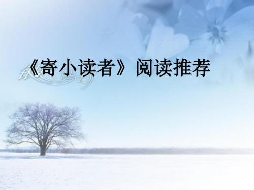 寄小读者导读课PPT课件.ppt