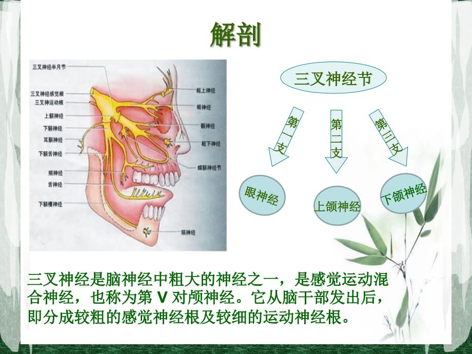 三叉神经痛护理PPT课件.ppt_第3页