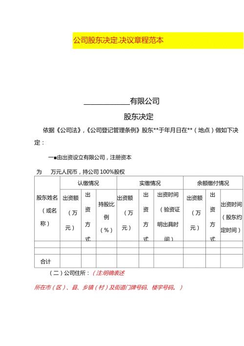 公司股东决定、决议章程模板.docx