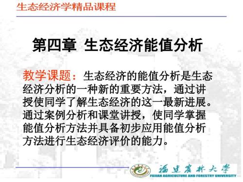 生态经济能值分析PPT课件.ppt