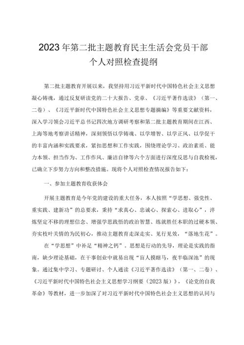 第二批主题教育民主生活会党员干部个人对照检查提纲.docx