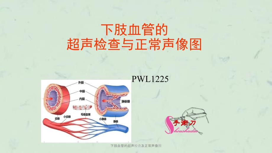 下肢血管的超声检查及正常声像图课件.ppt_第1页