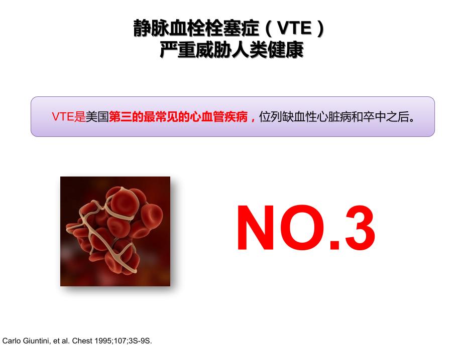 VTE预防与风险评估课件.ppt_第3页