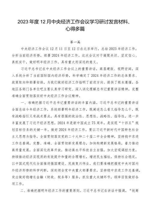 202312月中央经济工作会议学习研讨发言材料、心得多篇.docx