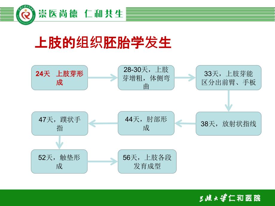 多指畸形PPT课件.ppt_第3页
