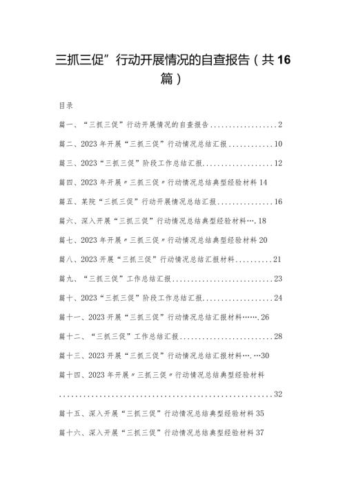 “三抓三促”行动开展情况的自查报告（共16篇）.docx