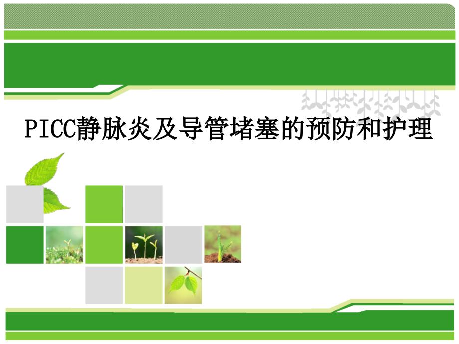 PICC静脉炎及导管堵塞的预防和护理.ppt_第1页