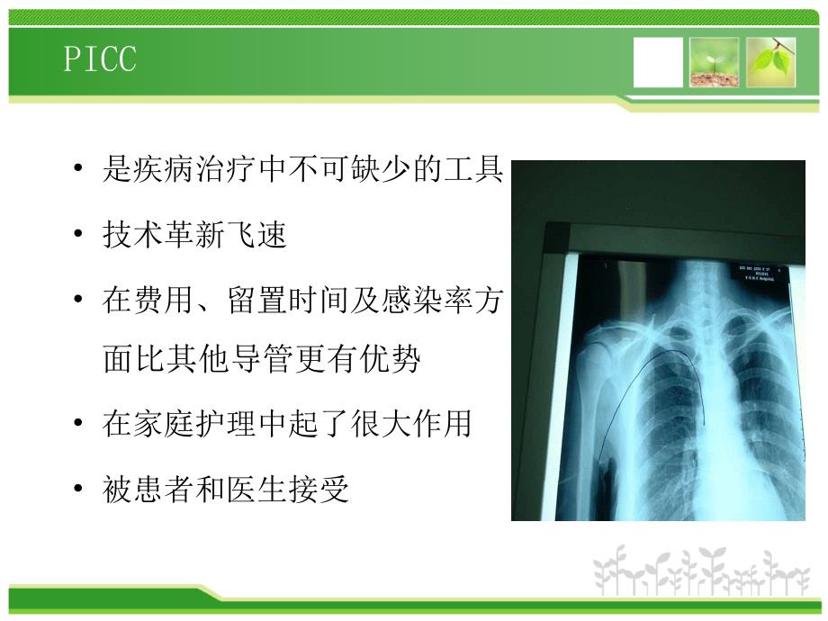 PICC静脉炎及导管堵塞的预防和护理.ppt_第2页
