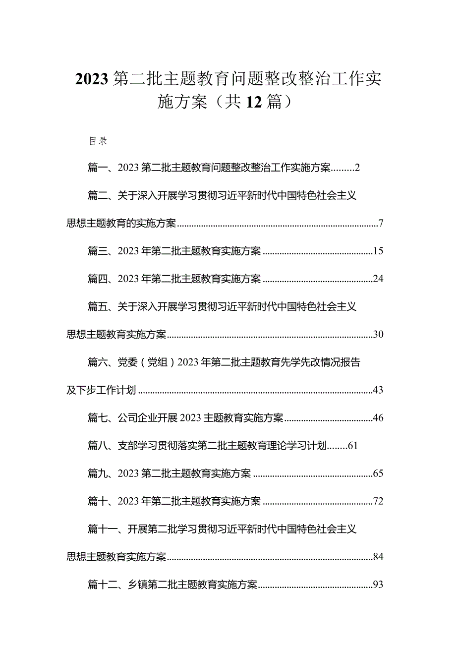 2023第二批专题教育问题整改整治工作实施方案（共12篇）.docx_第1页
