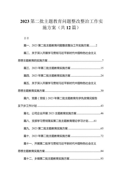2023第二批专题教育问题整改整治工作实施方案（共12篇）.docx