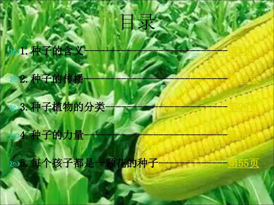 神奇的种子ppt课件.ppt_第2页