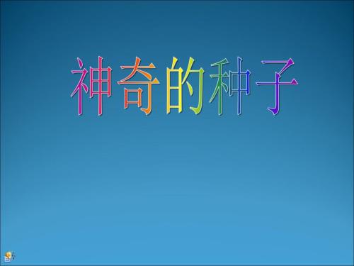 神奇的种子ppt课件.ppt