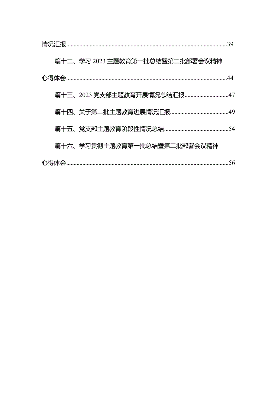 2023第一批专题教育工作总结开展情况报告精选（共16篇）(1).docx_第2页