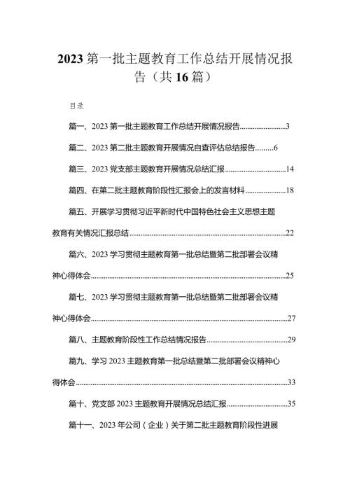 2023第一批专题教育工作总结开展情况报告精选（共16篇）(1).docx