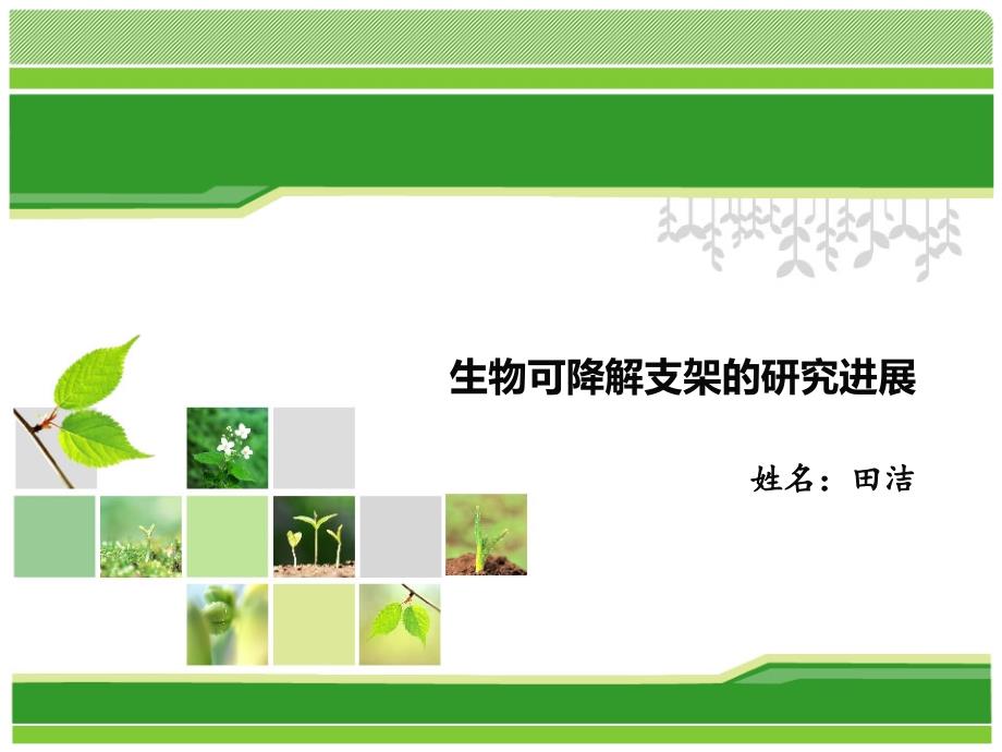 生物可降解血管支架的研究现状.ppt_第1页