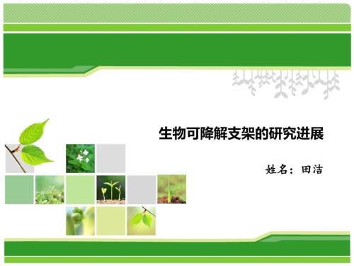 生物可降解血管支架的研究现状.ppt