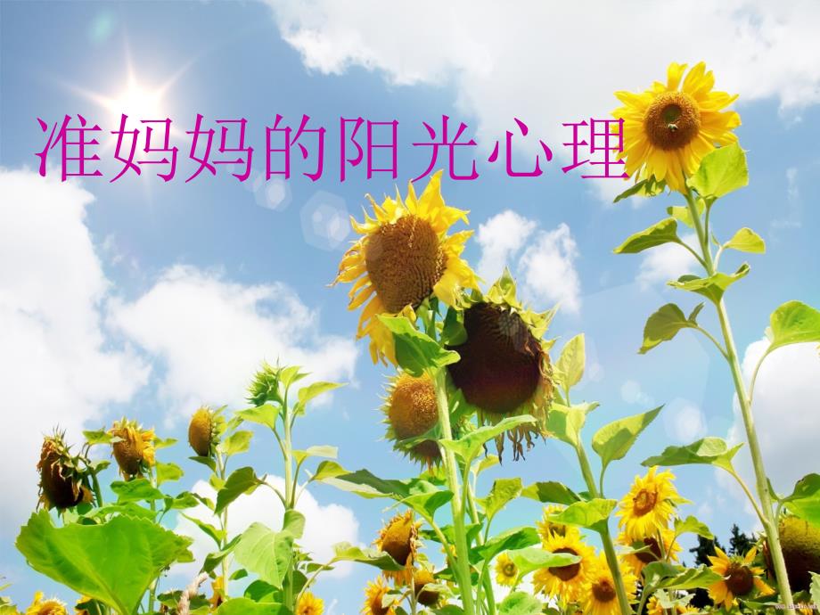 孕妇孕期心理健康讲座ppt课件.ppt_第2页