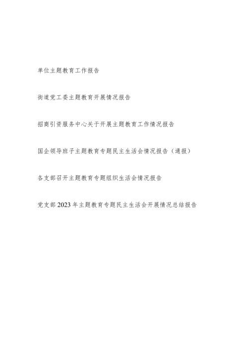 2024年单位党委党支部党工委领导班子开展第二批“学思想、强党性、重实践、建新功”工作情况报告6篇.docx