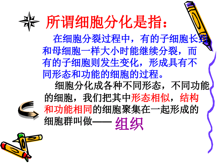 生物体结构层次PPT课件.ppt_第3页
