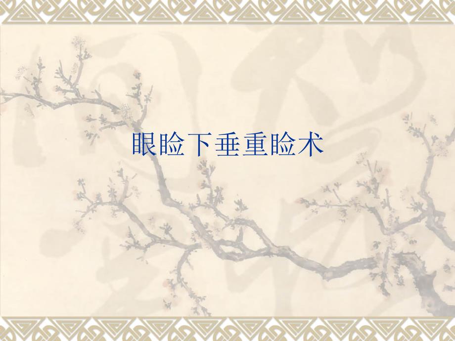 眼睑下垂重睑术PPT课件.ppt_第1页