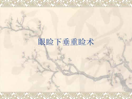 眼睑下垂重睑术PPT课件.ppt