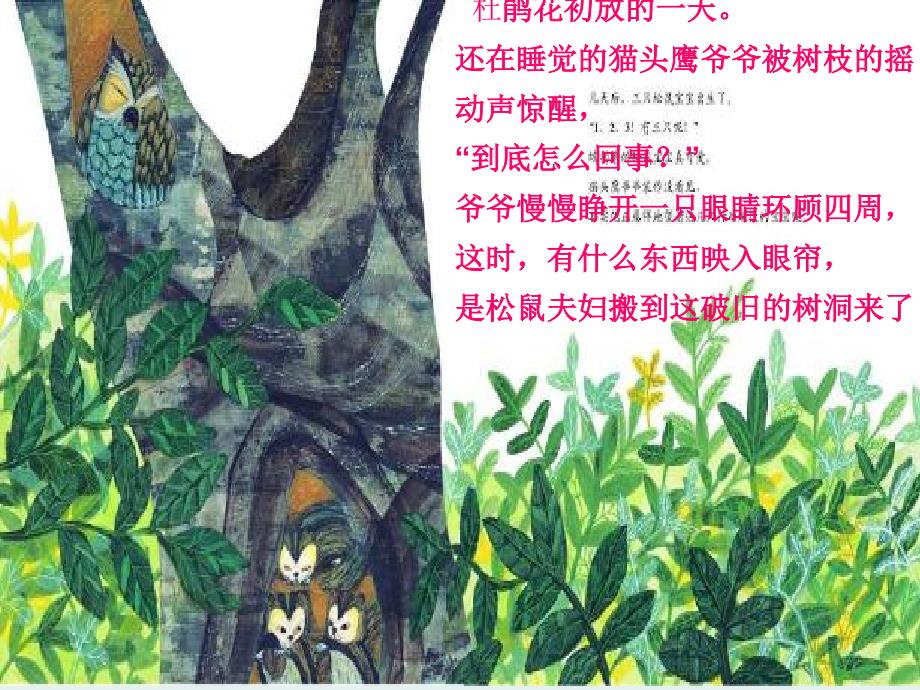 一年级数学绘本都到我这里来.ppt_第3页