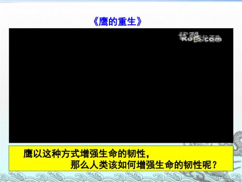 七上年级上册初中道德与法治增强生命的韧性课件.ppt