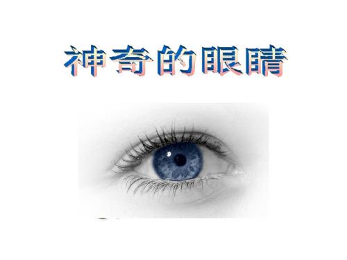 眼睛与视力矫正flash课件2.ppt