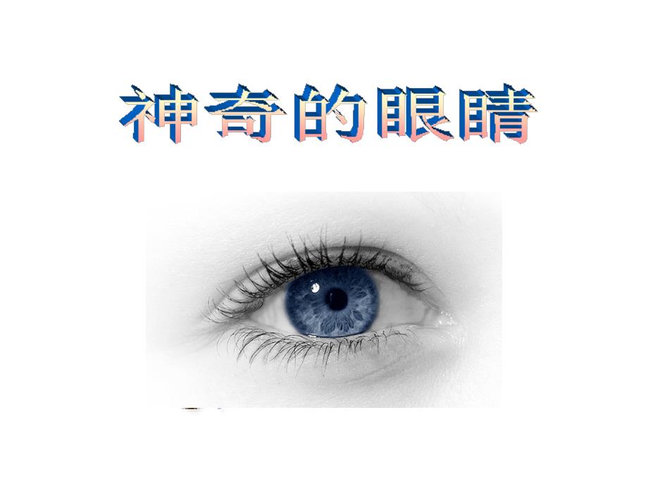 眼睛与视力矫正flash课件2.ppt_第1页