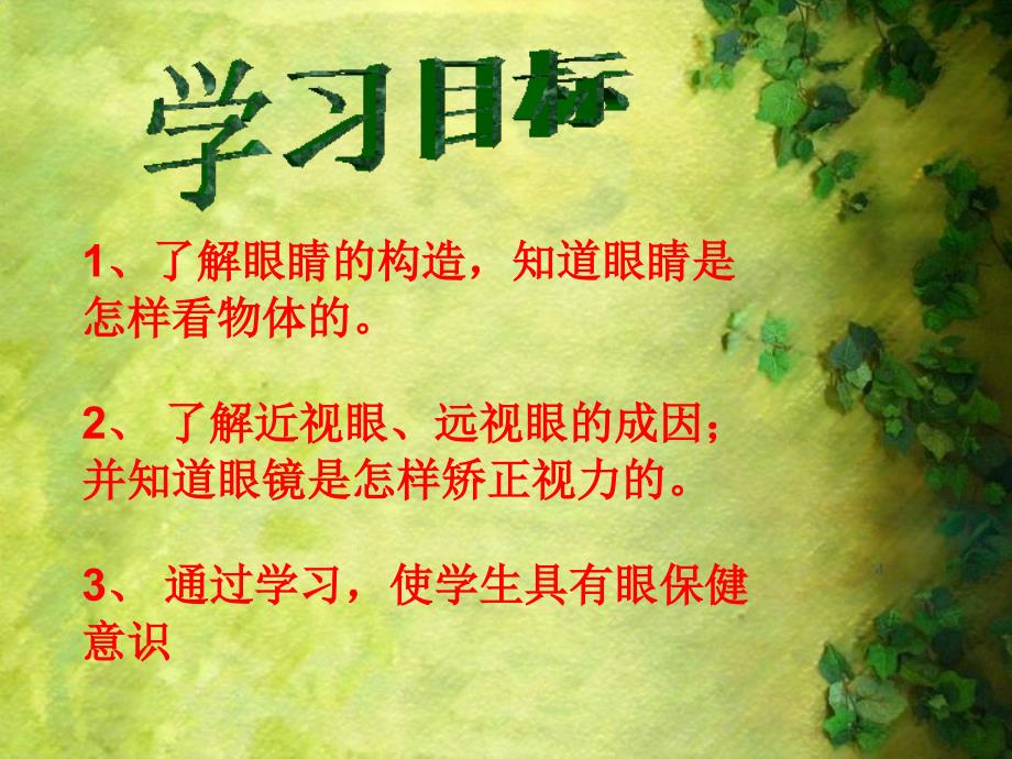 眼睛与视力矫正flash课件2.ppt_第3页