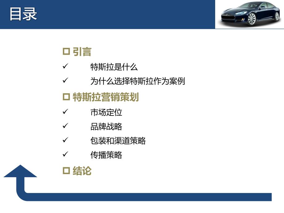 特斯拉营销策划方案.ppt_第2页