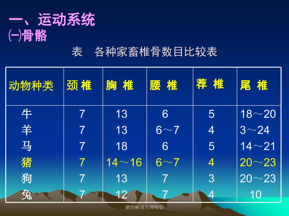 猪的解剖生理特征课件.ppt_第2页