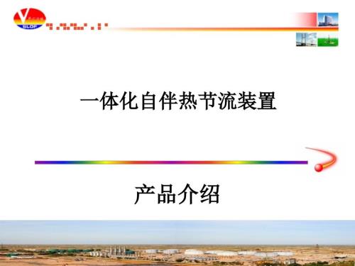 一体化自热节流装置汇报材料0215.ppt