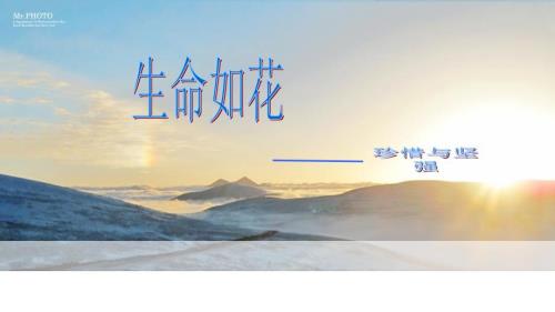 珍爱生命安全第一PPT课件.ppt