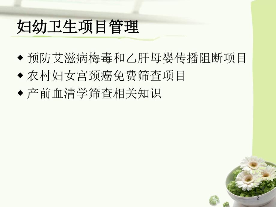妇幼卫生项目管理ppt课件.ppt_第2页