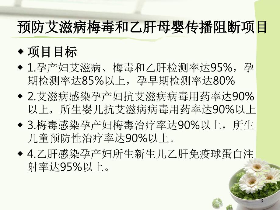 妇幼卫生项目管理ppt课件.ppt_第3页