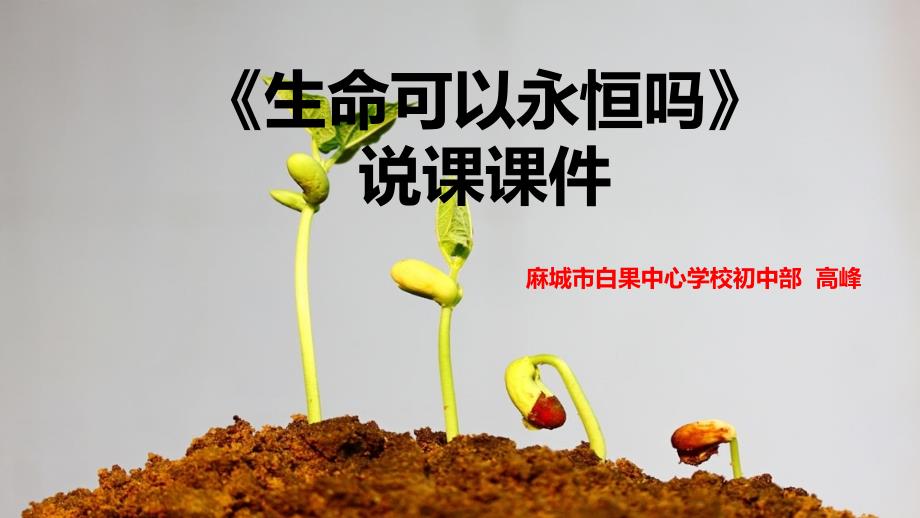 生命可以永恒吗说课课件.ppt_第1页